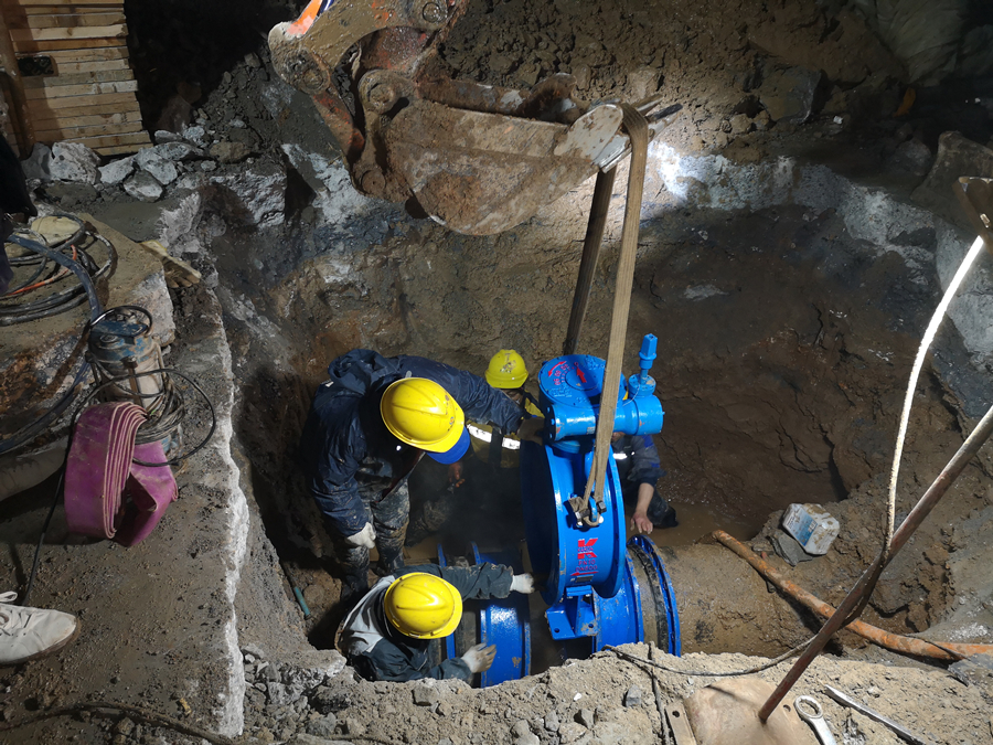 久久久天堂国产精品女人